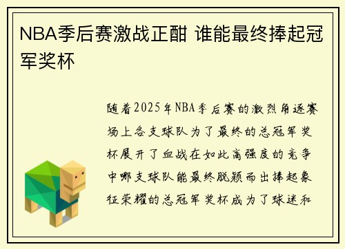 NBA季后赛激战正酣 谁能最终捧起冠军奖杯